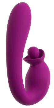 Vibrator With Double Rotation