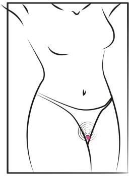 RC Panty Vibrator Heart