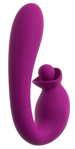 Vibrator With Double Rotation