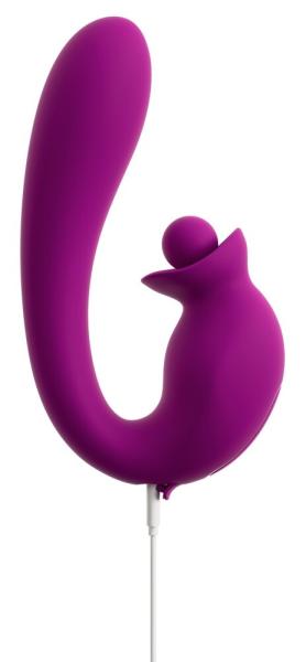 Vibrator With Double Rotation